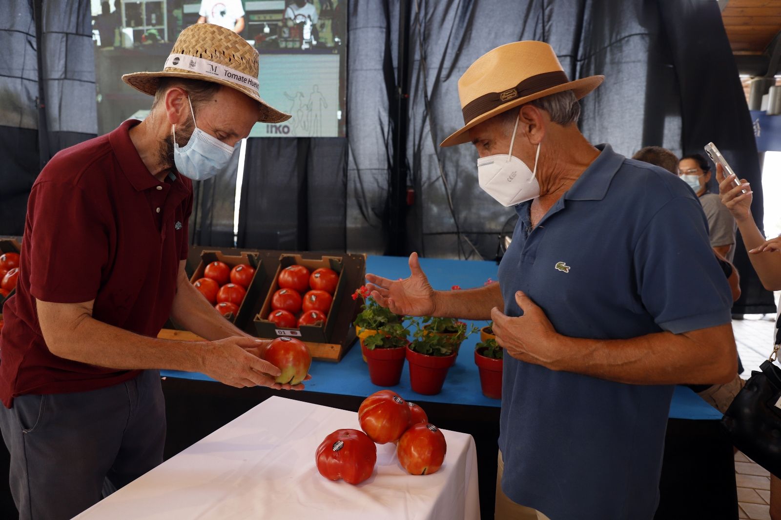 Concurso hortofrutícola de Coín y subasta Mejor Tomate Huevo de Toro