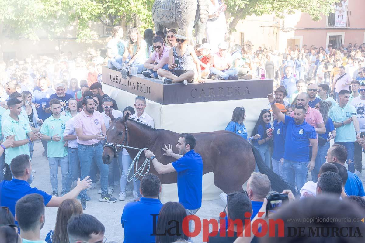 Entrada de caballos al Hoyo en las Fiestas de Caravaca