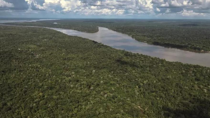 La desforestació il·legal en l’Amazones brasiler cau el 63%