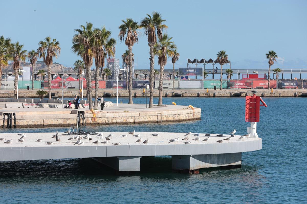 Vista de la isla situada a la entrada de la dársena del puerto.