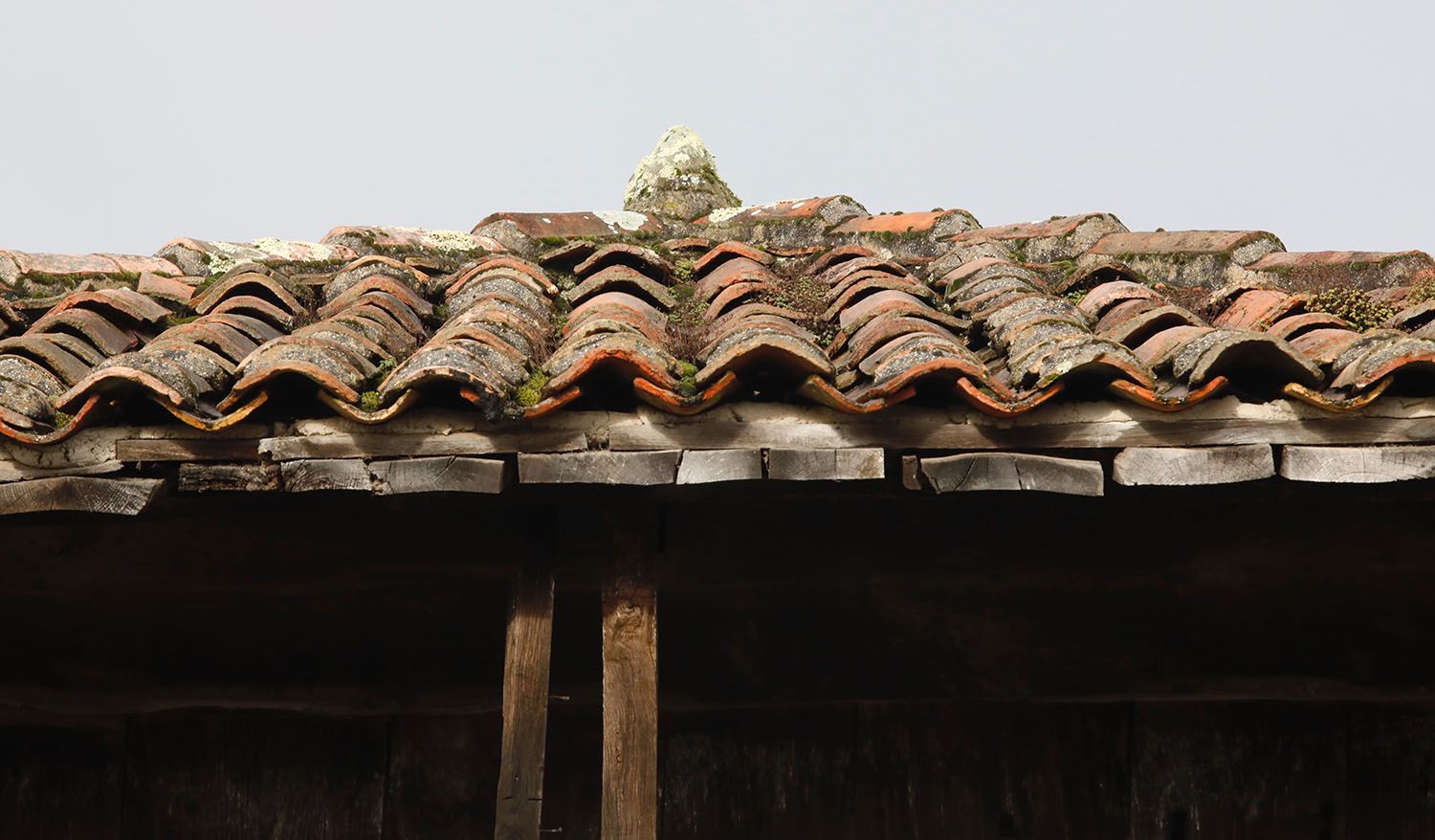 El hórreo, símbolo de sociedad rural asturiana