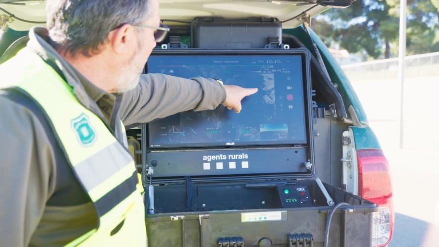 Imágenes de los 'Agents Rurals' buscando jabalíes con drones para contener el brote de PPA en Collserola