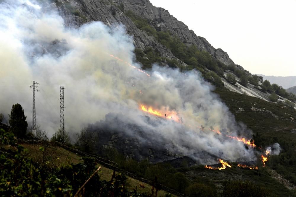 Incendio en Ibias