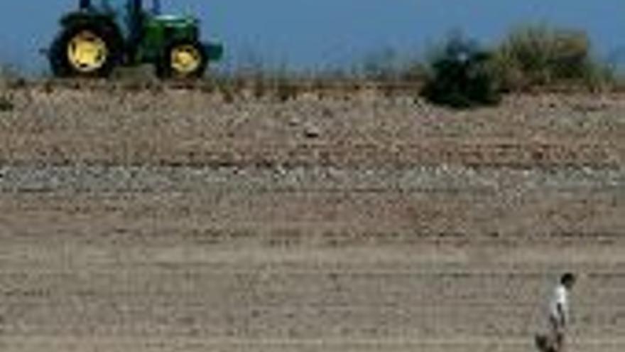 La economía extremeña cimenta su crecimiento en la agricultura