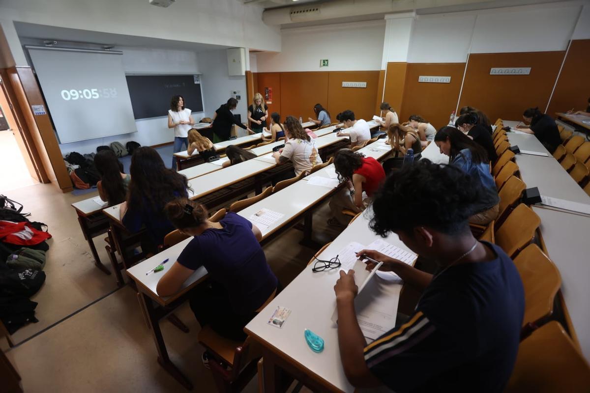 Selectividad 2024: primer día de la PAU en la Universidad de Alicante