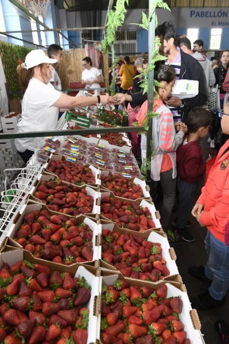 GRAN CANARIA 29-04-2018   VALSEQUILLO.  Feria de ...