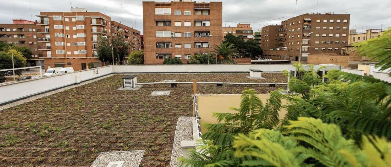 Cubierta verde en el centro de mayores de Benicalap, dentro del proyecto europeo GrowGreen que busca soluciones basadas en la naturaleza para combatir los efectos negativos del cambio climático.