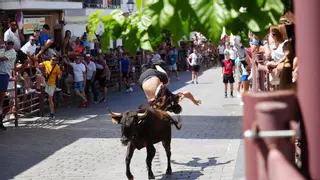 Alcaracejos vive con intensidad el inicio de los encierros de vacas bravas
