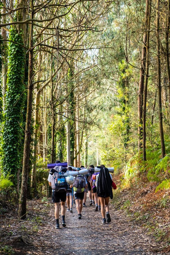 Peregrinos en el Camino de Santiago.