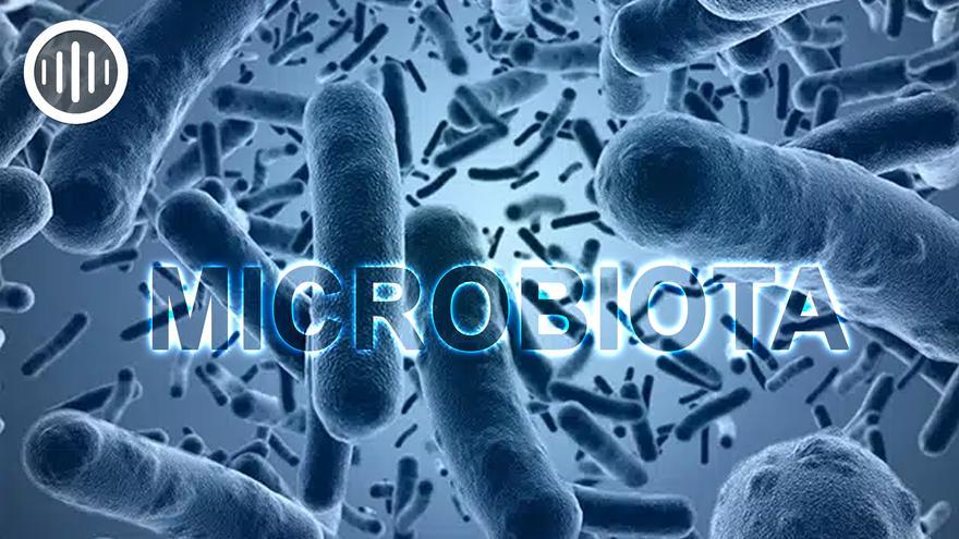 La importancia de cuidar nuestra Microbiota