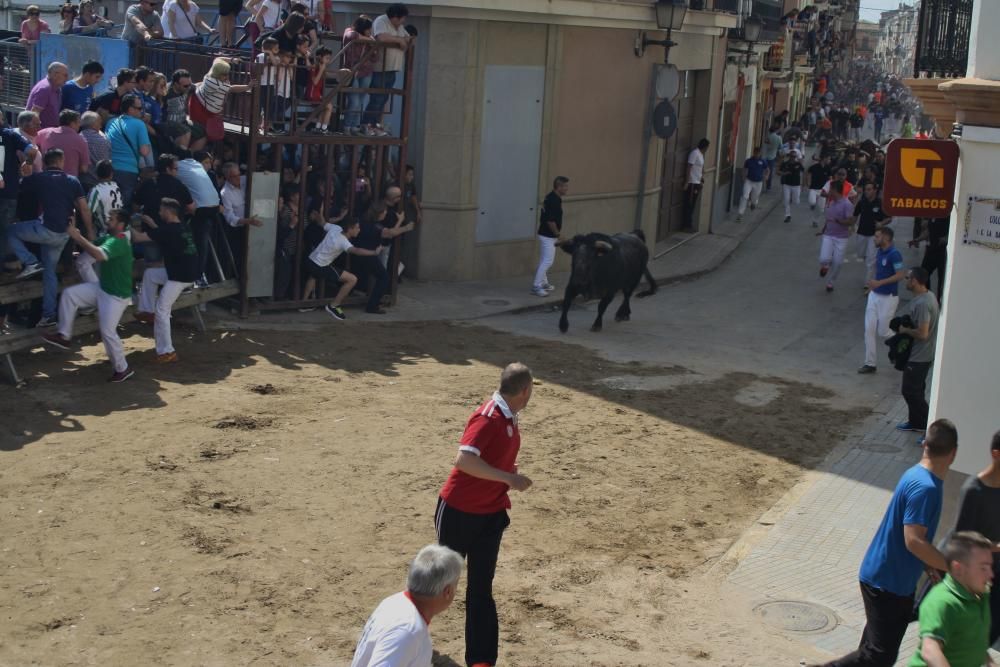 Festes de Santa Quitèria en Almassora