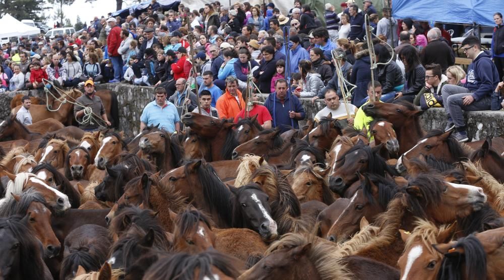 El primer curro de la temporada marca 270 caballos ante más de un millar de espectadores en Oia