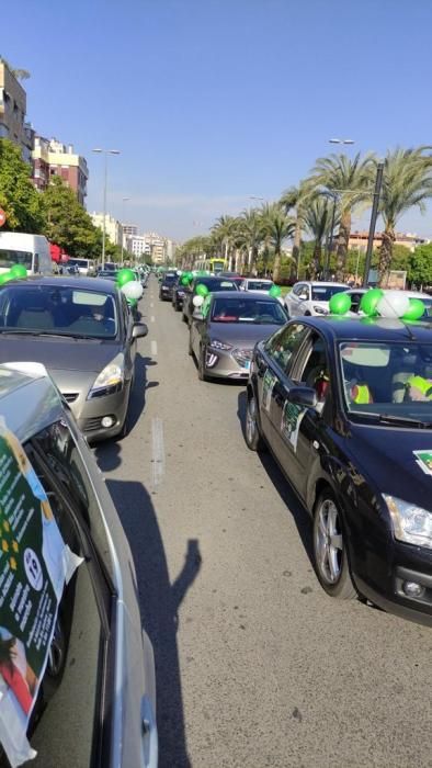 Una marcha teñida de verde y blanco para defender "el bien común"