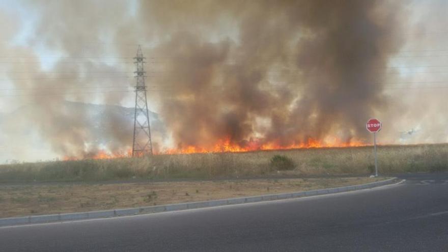Medios aéreos y terrestres controlan un incendio de pastos cerca de Villarrubia