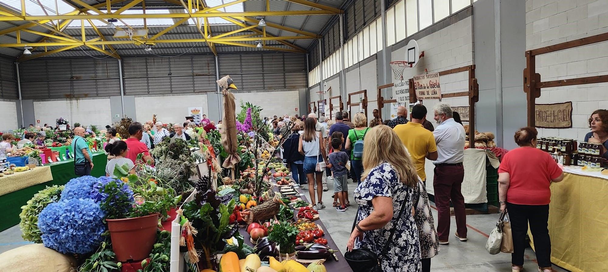 Llanera desembarca en el Festival de la Huerta de Pravia, donde acude como municipio invitado