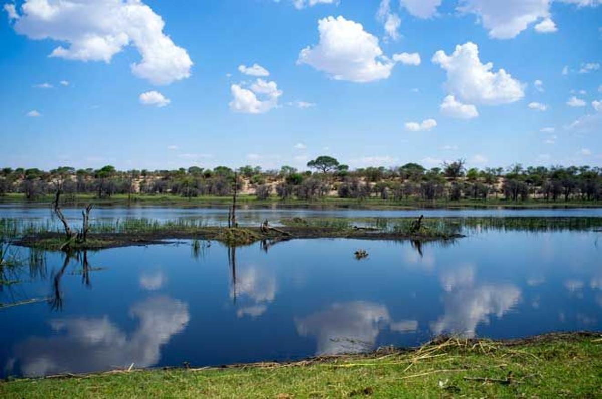 Reflejo del Parque Khumaga en el Río Boteti, en Botswana.
