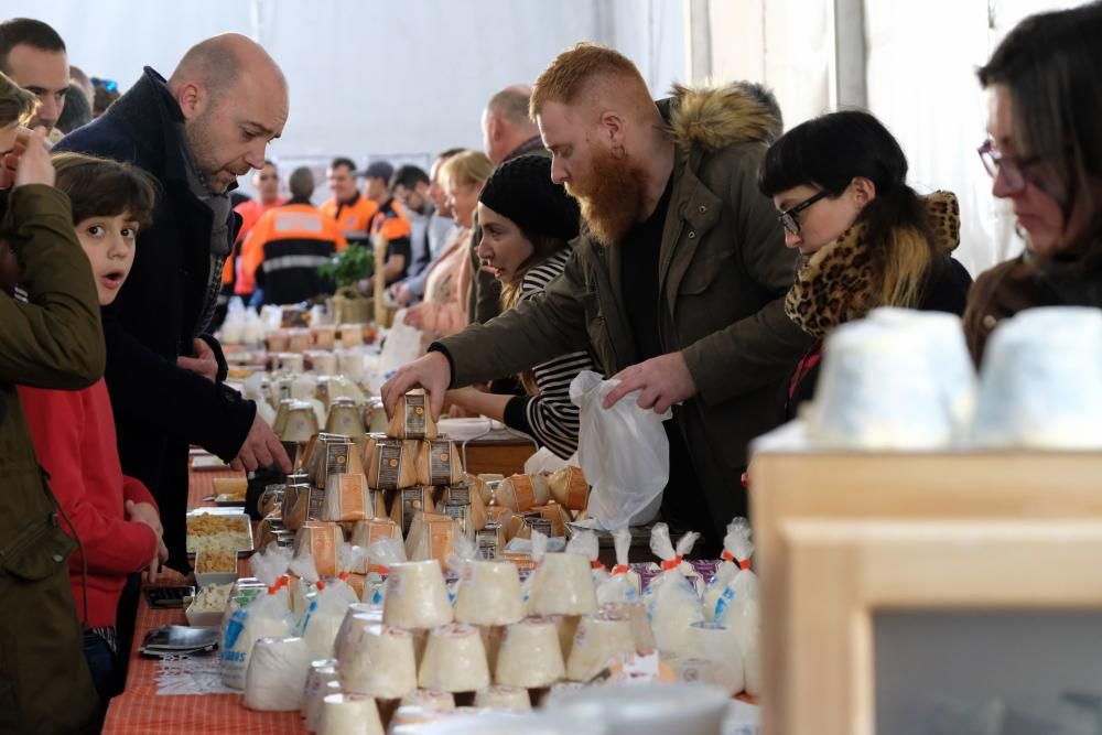 Certamen de queso afuega'l pitu en Morcín