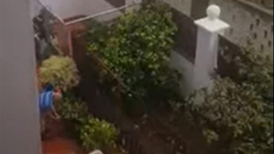 La Policía llevará a la Fiscalía el vídeo del perro apaleado en Canarias