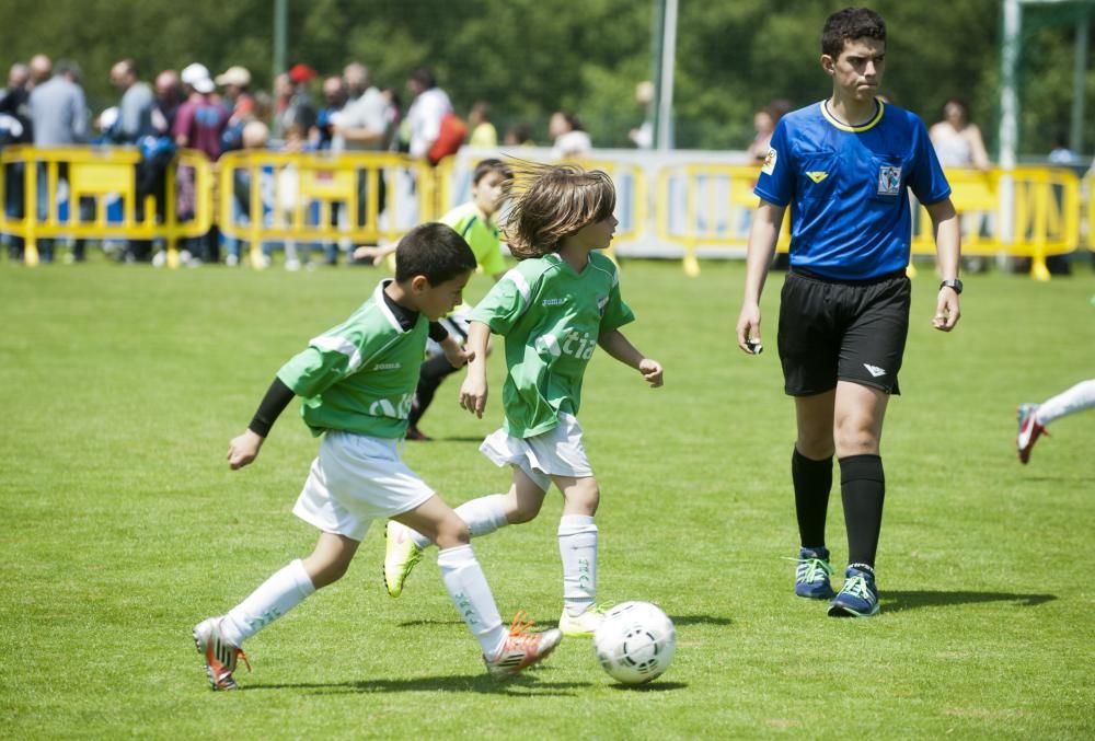 3.000 pequeños futbolistas en Abegondo