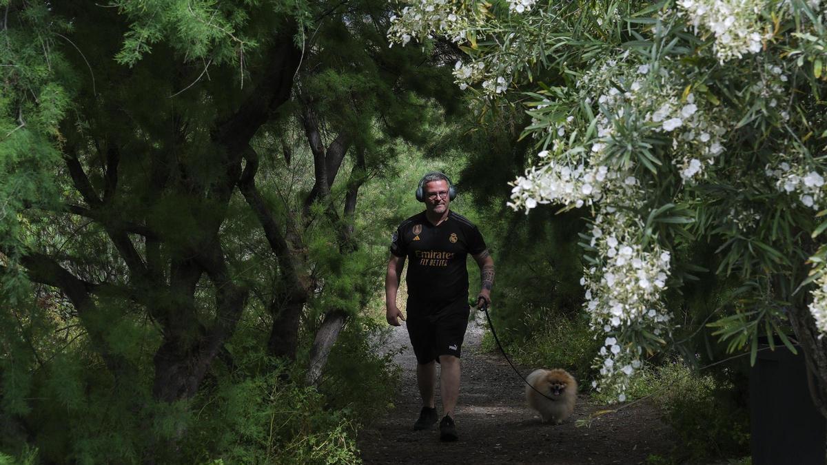 Corredor Verde de Las Palmas de Gran Canaria a su paso por Hoya Aguedita