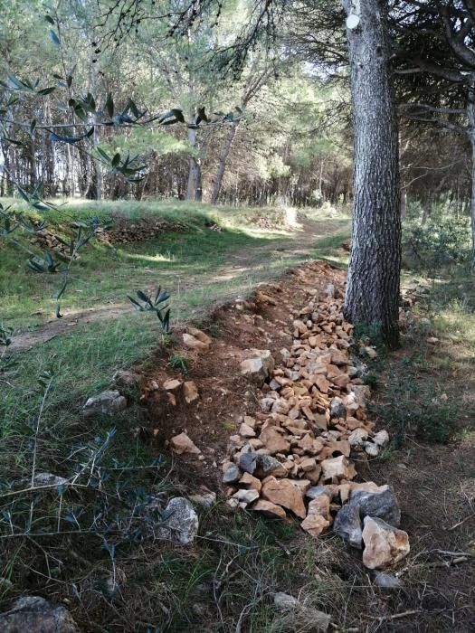 Robatori a les parets de pedra seca de l'Escala