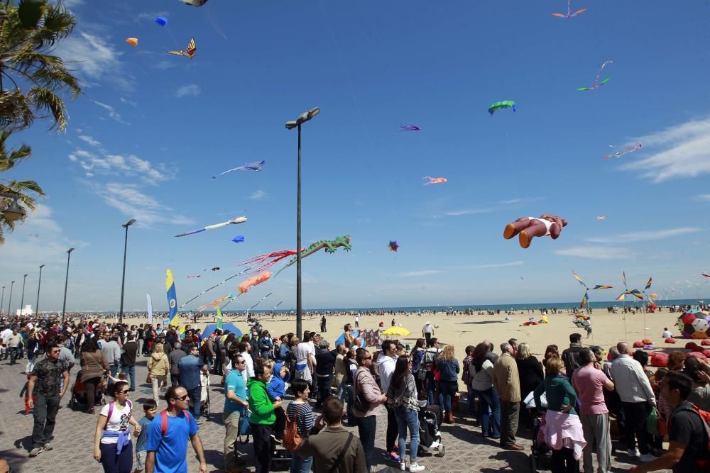 Festival del Viento 2016 en la Malva-rosa