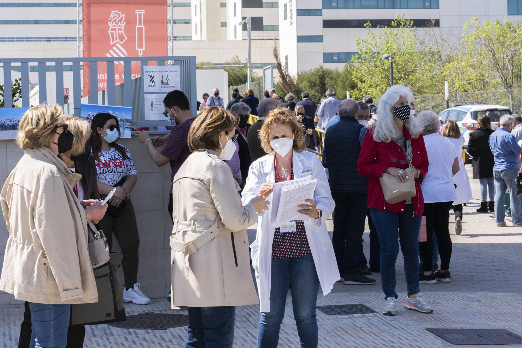 Largas colas al sol para vacunarse contra la COVID-19 en el hospital de campaña de La Fe