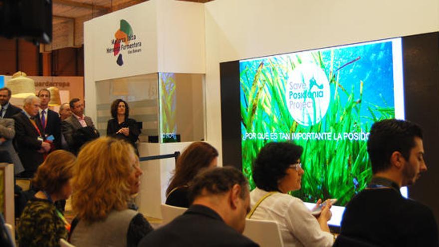 El público viendo el vídeo del proyecto sobre la posidonia de Formentera.