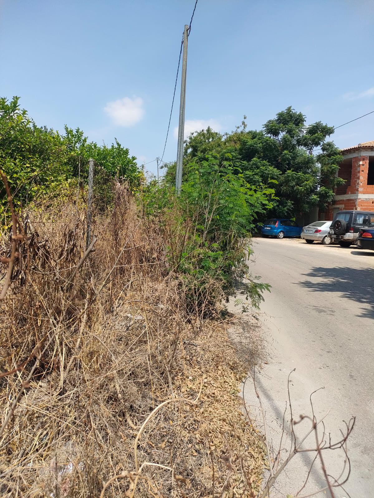 WhatsApp Image 2025-09-30 at 21.34.20 (3).jpeg