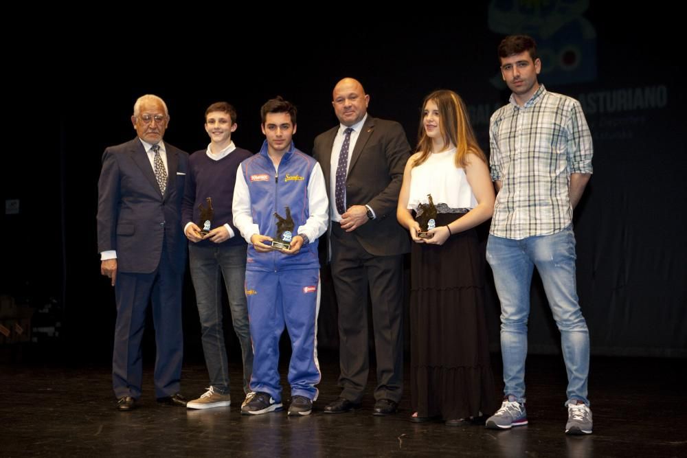 XXVI Gala del Judo Asturiano en el Nuevo Teatro de La Felguera