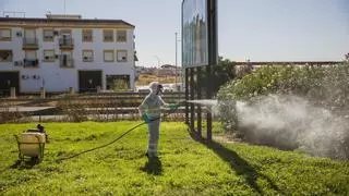 Confirmados diez nuevos casos de Virus del Nilo y una tercera fallecida en Sevilla