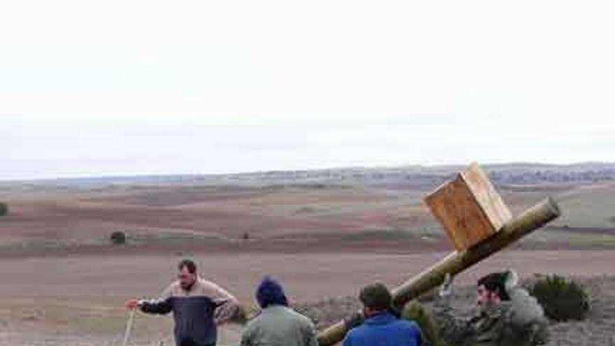 Voluntarios de Grefa instalan una de las cajas nido.