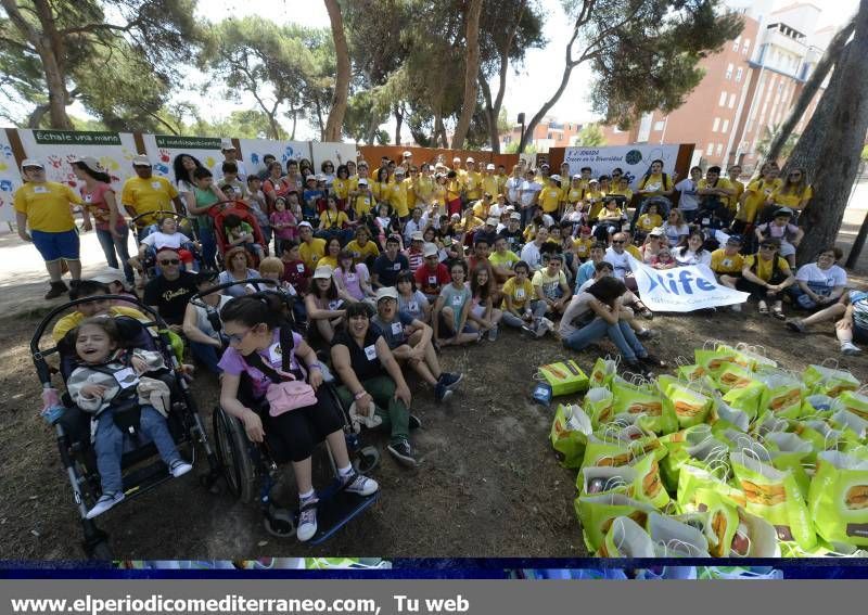 GALERÍA DE FOTOS- Jornada para Crecer en Diversidad en el Pinar