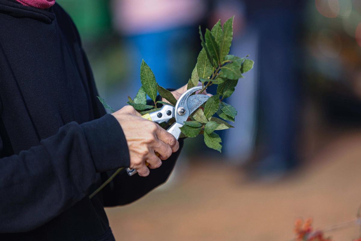 Navidad con sobrasada torrada en sa Cooperativa de Sant Antoni