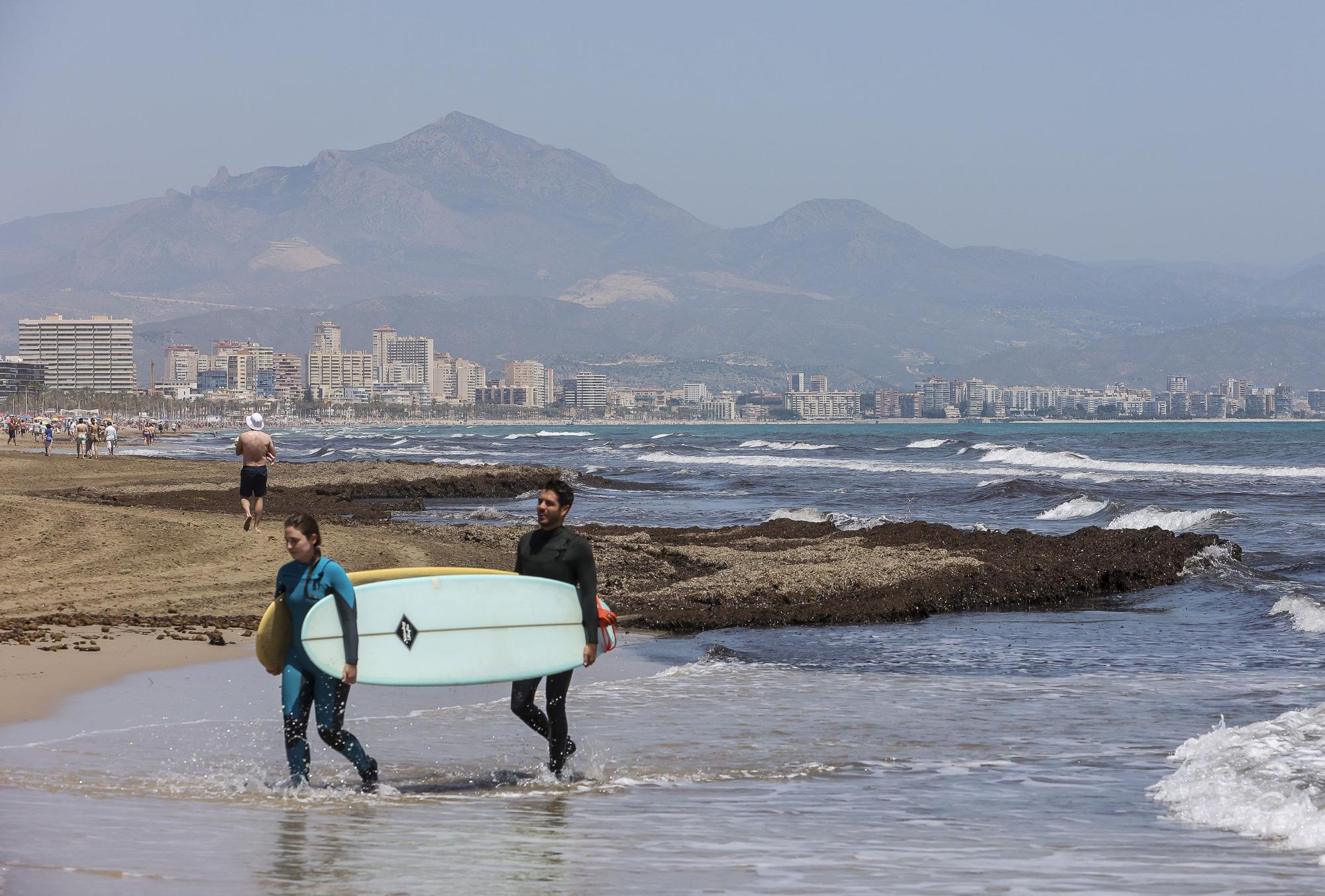 Playas preparadas para la temporada alta en Alicante (2022)