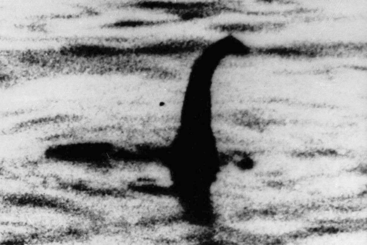 La imagen que ha alimentado la leyenda de Nessy. La imagen que ha alimentado la leyenda de Nessy.
