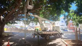 Servicios Públicos renueva las luminarias en la plaza de Fátima, en Santa Cruz