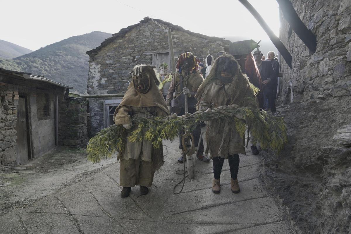 Celebración del carnaval de Pombriego (León)