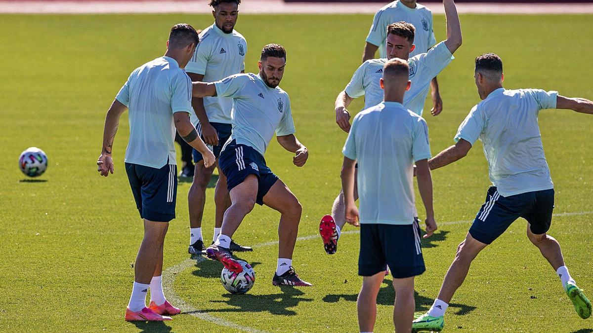 Un entrenament de laselecció espanyola a Las Rozas