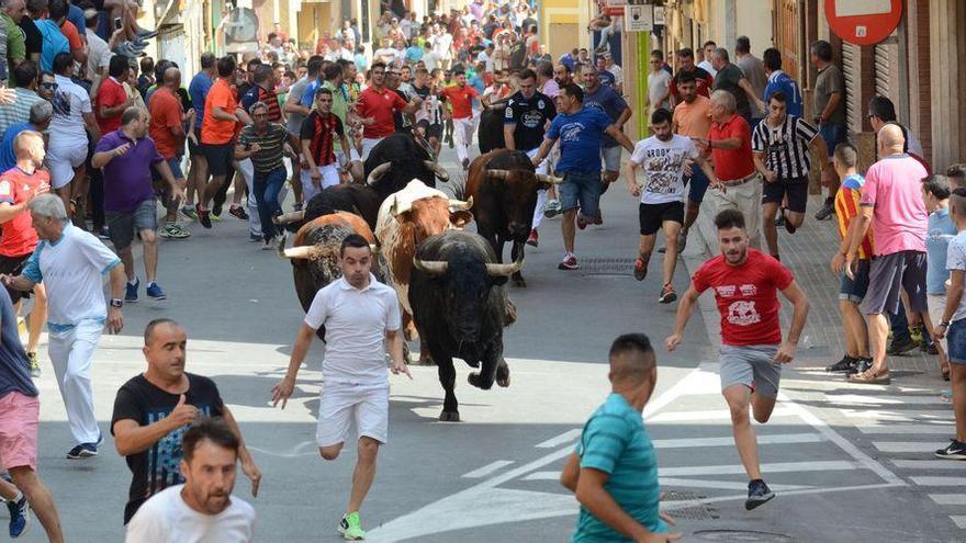 Un encierro limpio abre los actos taurinos de l&#039;Alcora