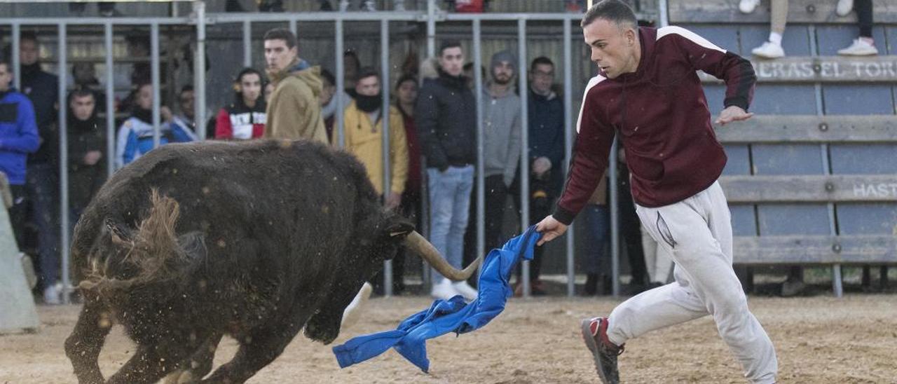 La Vall d&#039;Uixó prepara  el Primer Congreso de Bous al Carrer