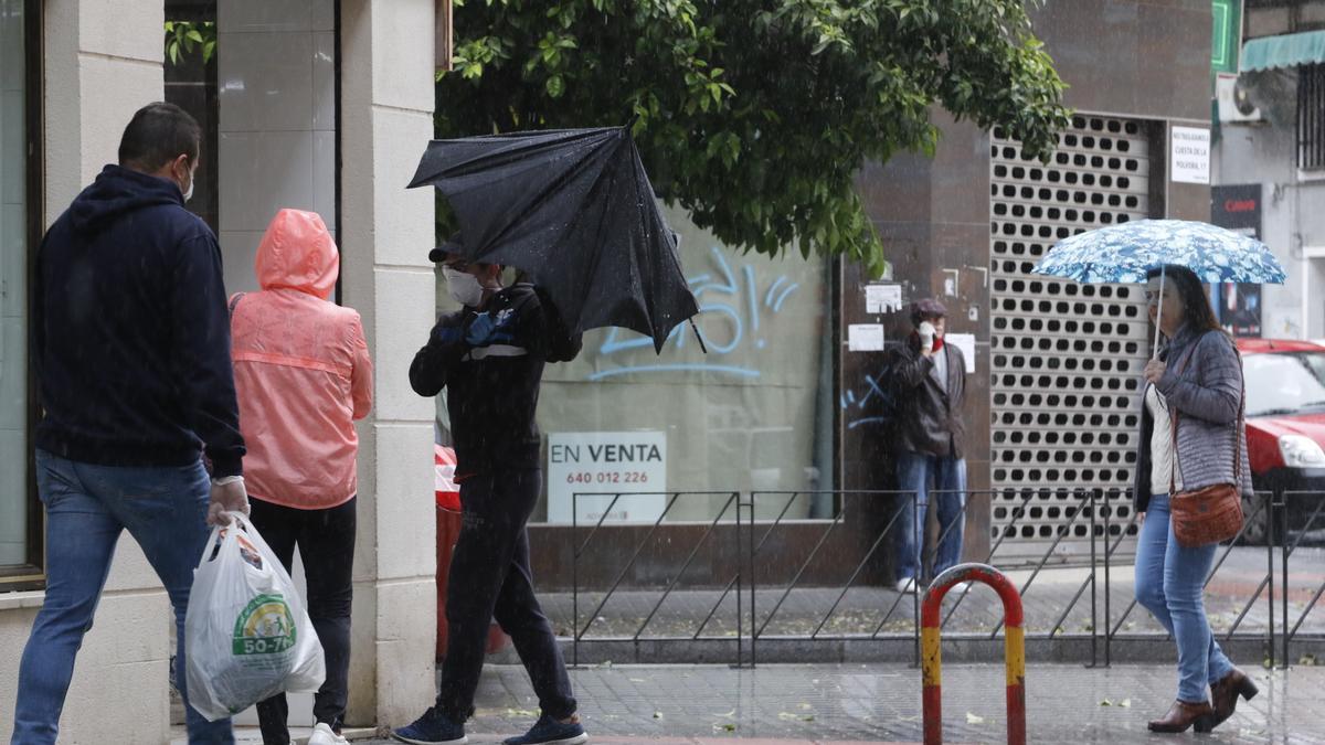 Peatones se protegen de la lluvia con paraguas y chubasqueros en una calle de Córdoba.