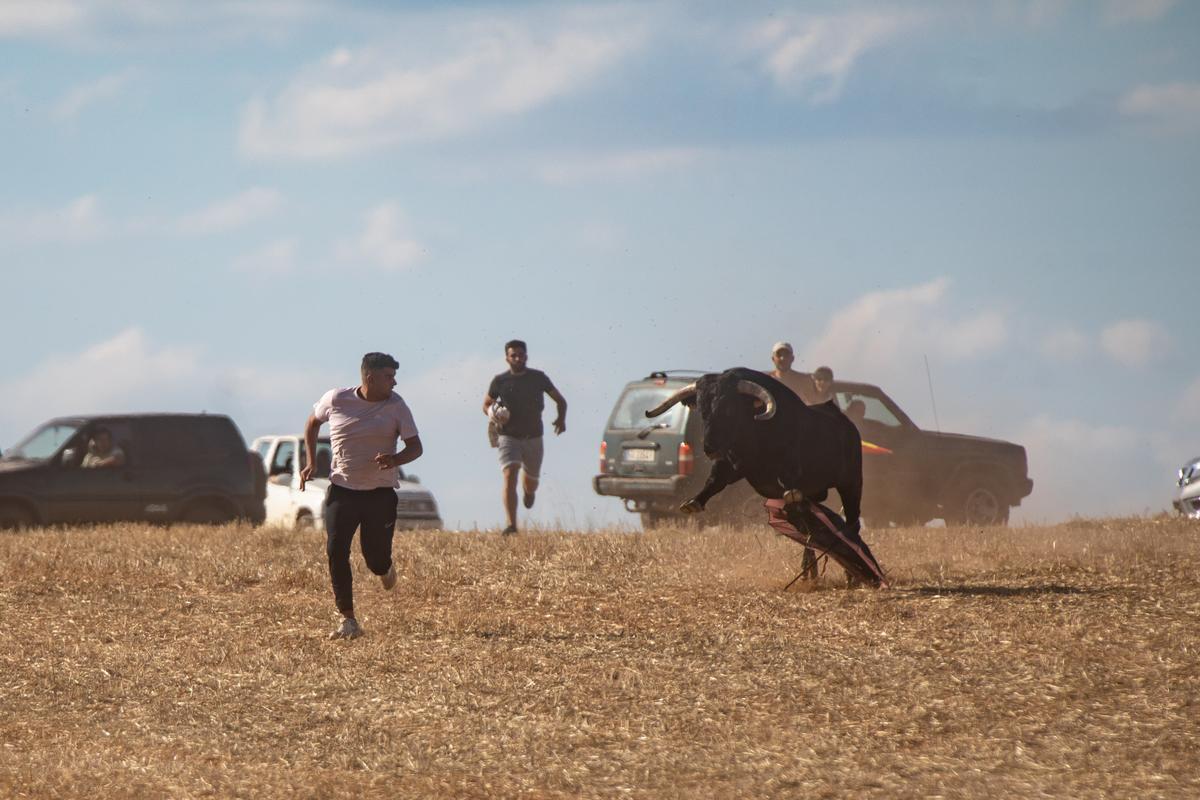 Espante campero en Pereruela 2022