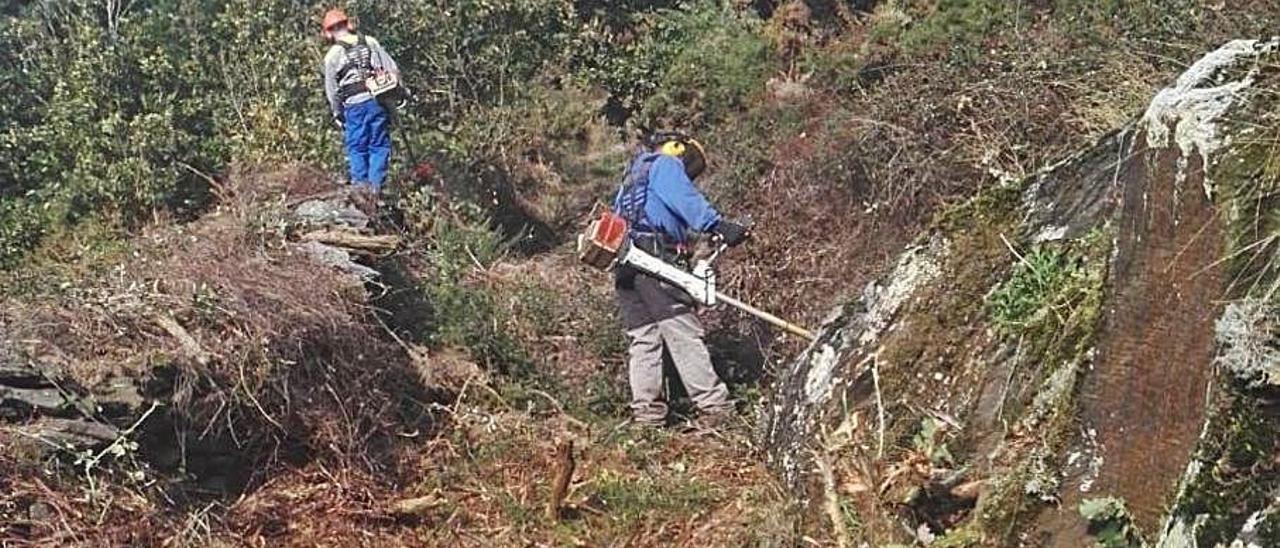 Voluntarios de la asociación trabajan en la limpieza de la senda.