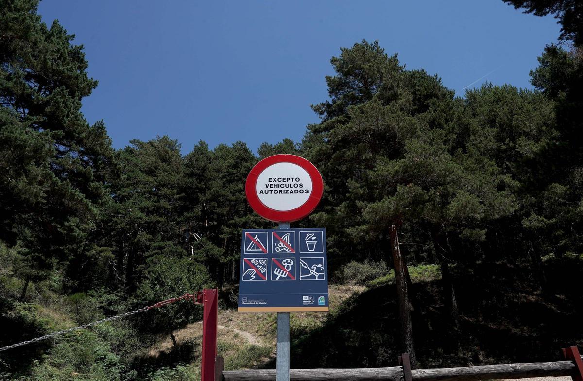 Carteles con prohibición de acampar y hacer fuego en zonas naturales.