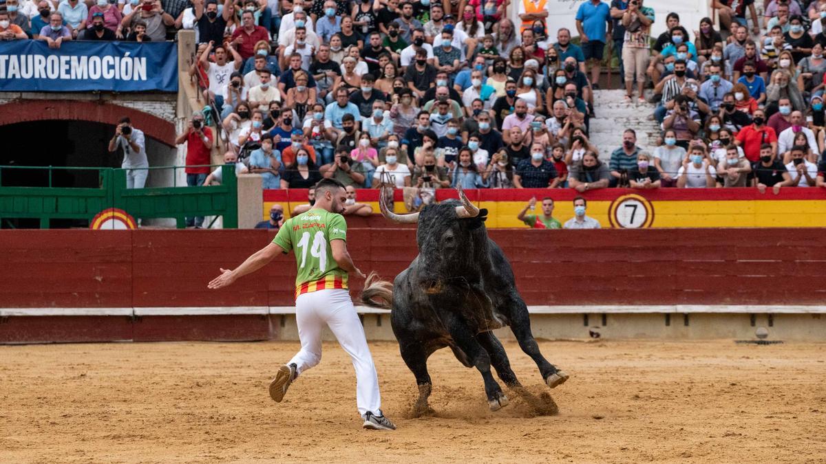 El benicense Manuel Zafra cuajó una gran actuación pese a la cogida sufrida