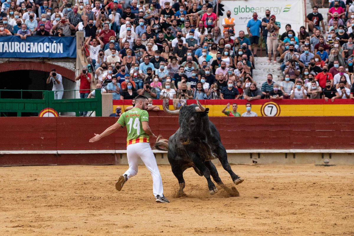 El benicense Manuel Zafra cuajó una gran actuación pese a la cogida sufrida