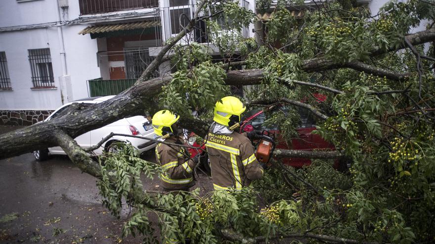 Tregua de Aline en Extremadura: viernes sin alerta por el temporal pero con probabilidad de lluvias