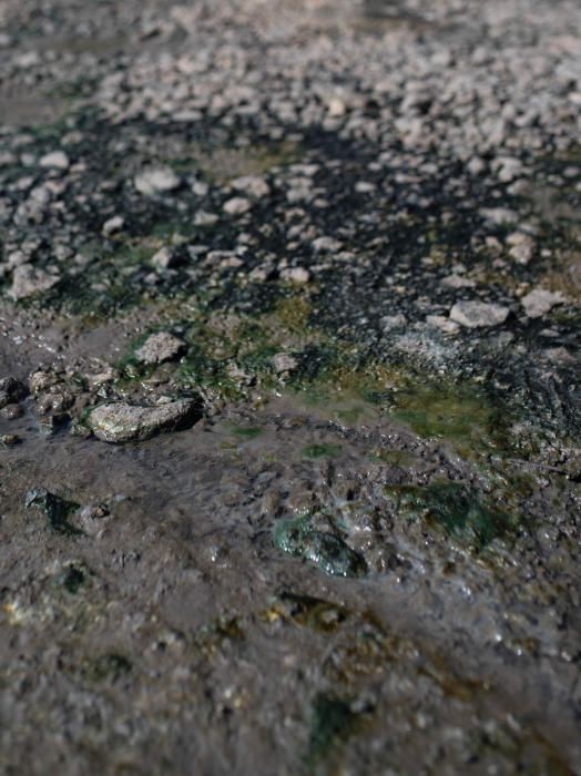 Boca Cangrejo, La Nea y Radazul, cerradas al baño