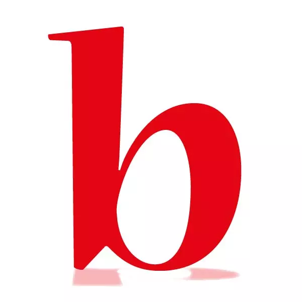 Bolsón